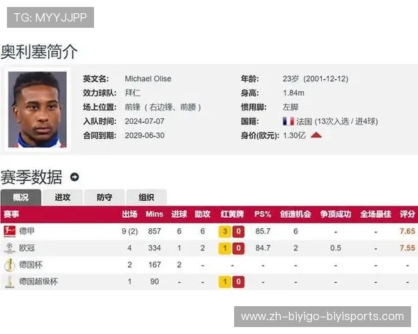 英超联赛中曾效力德甲球员的体育适应情况